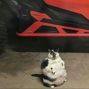 Meet your Posher, Nevaeh